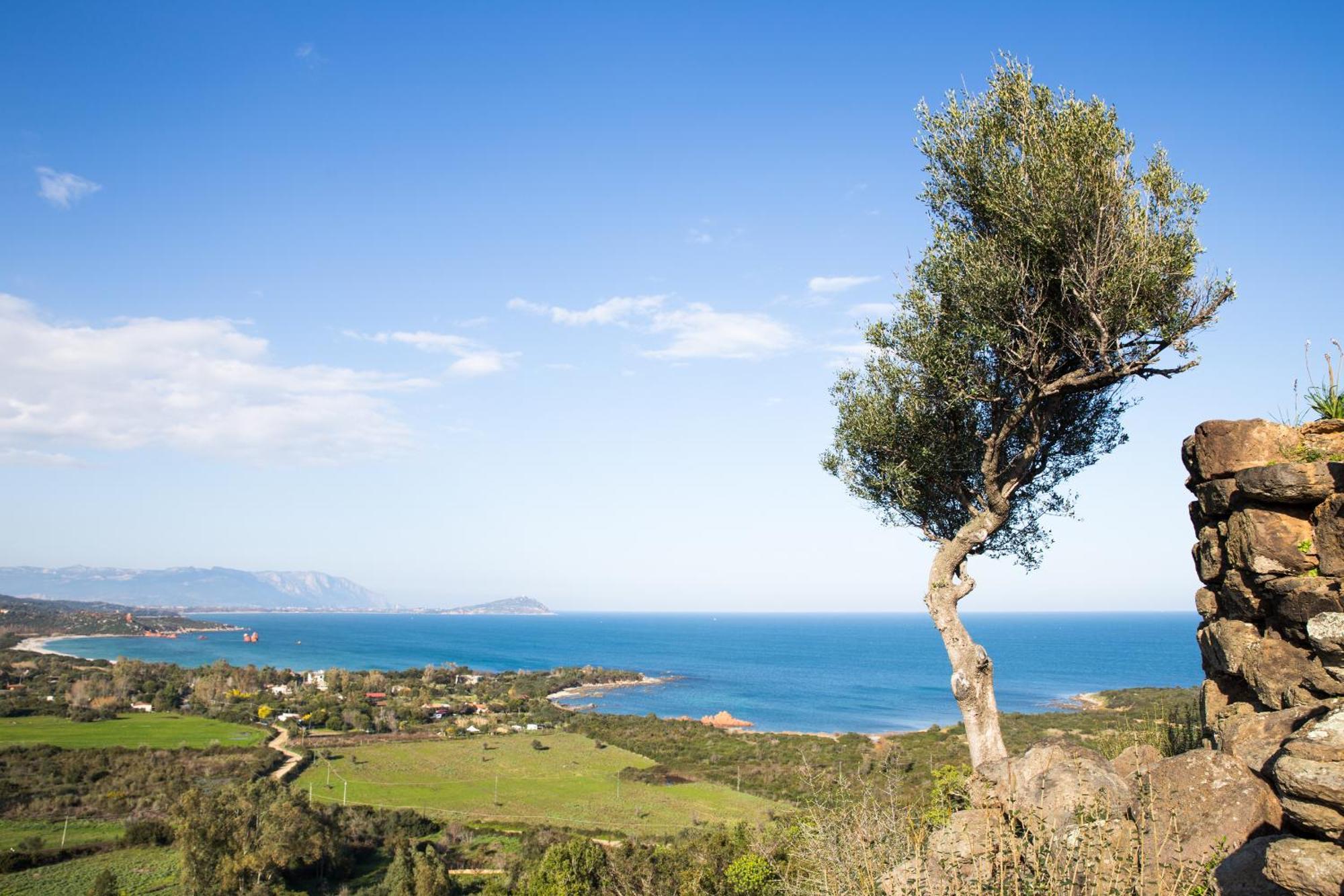Casetta Al Mare Àrbatax Dış mekan fotoğraf
